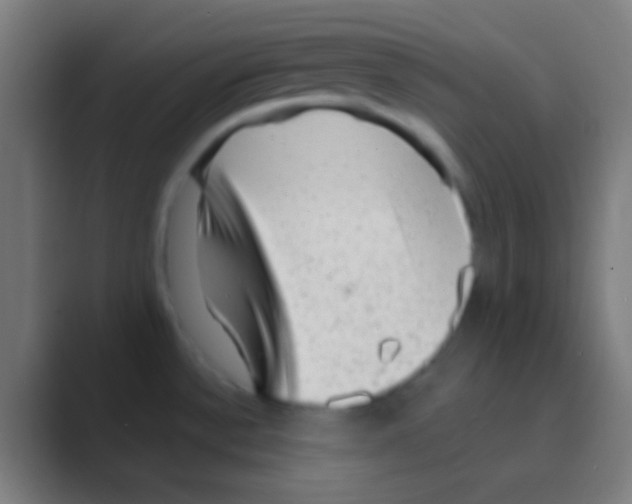 X0000088731532200706282114