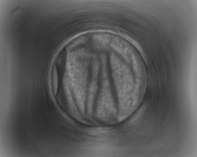 X0000088731533200706282114