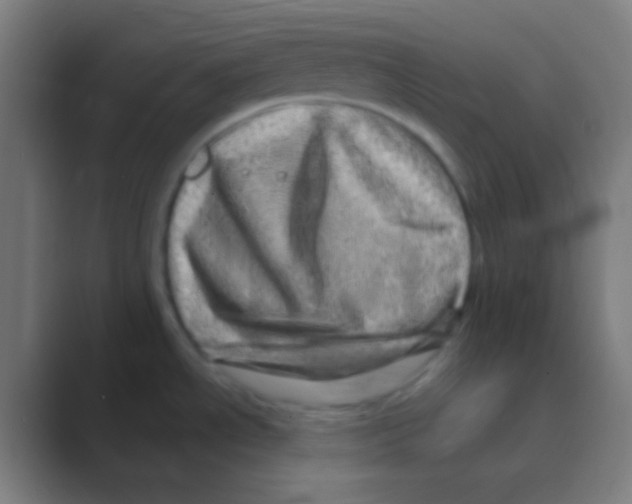 X0000088731534200706282114