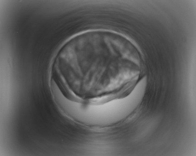 X0000088731535200706282114