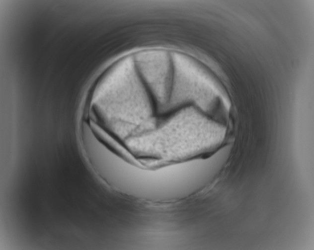 X0000088731536200706282114