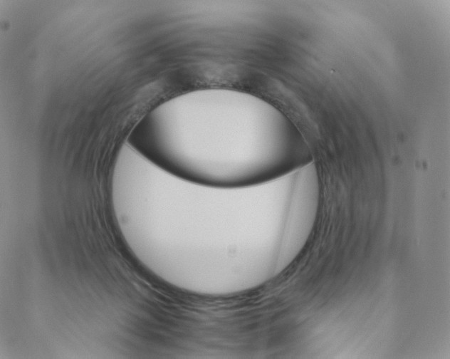 X0000088740075200705311102