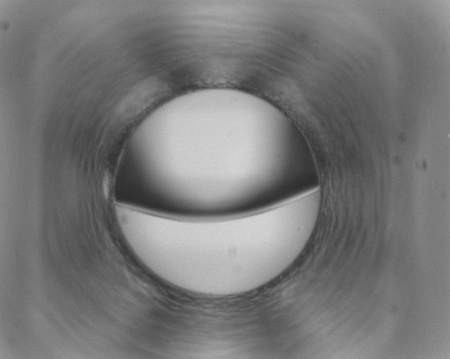 X0000088740076200705311102