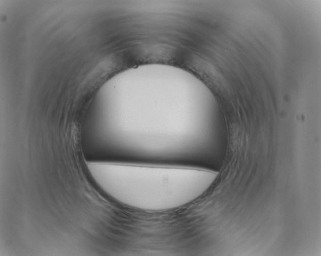 X0000088740077200705311102