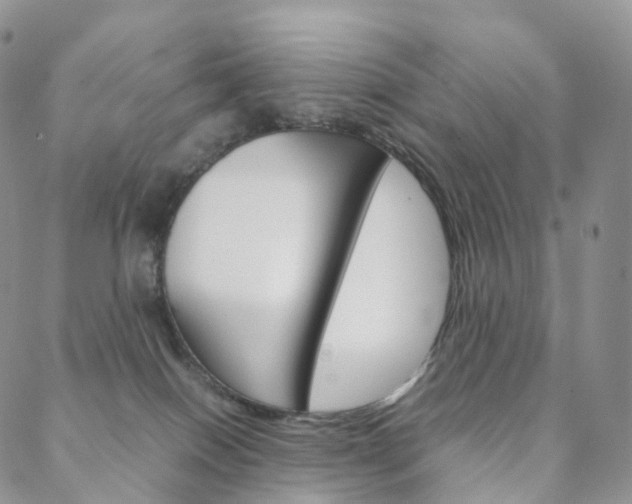 X0000088740086200705311102