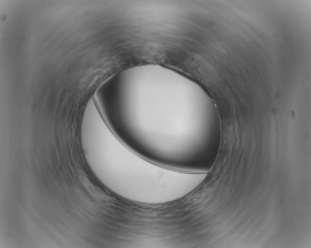 X0000088740088200705311102