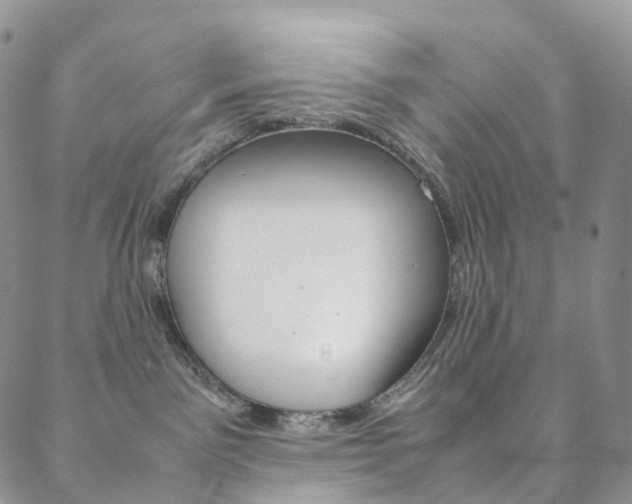 X0000088740141200705311101