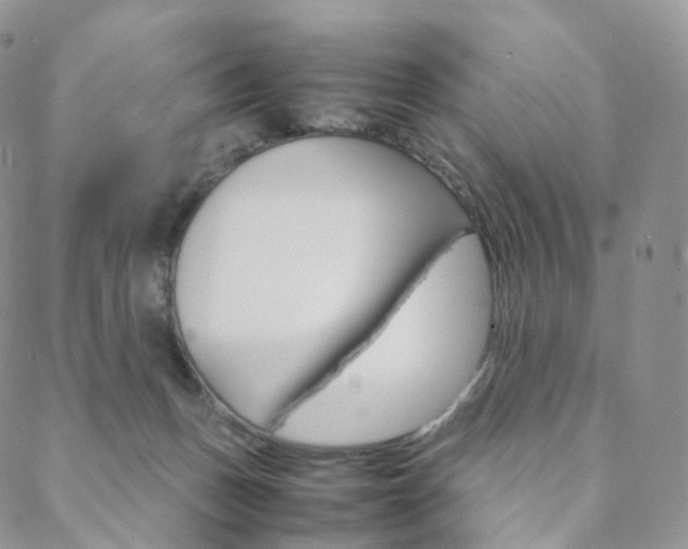 X0000088740175200705311100