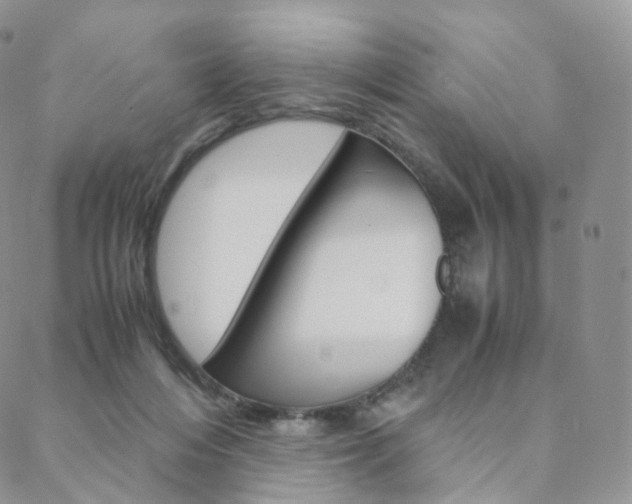 X0000088740216200705311100