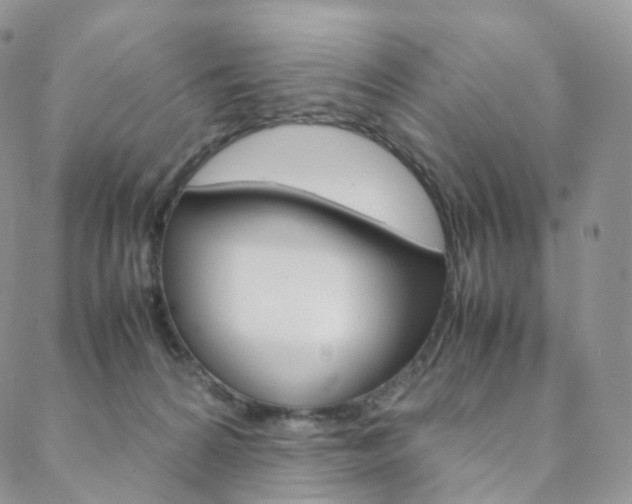X0000088740224200705311059