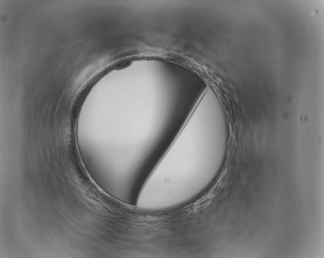 X0000088740247200705311058