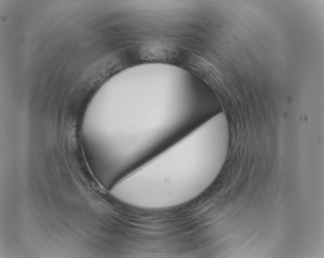 X0000088740267200705311059