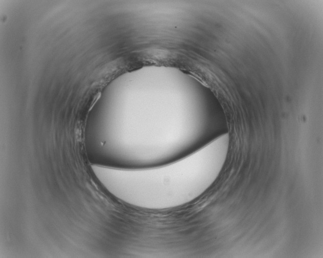 X0000088740284200705311059