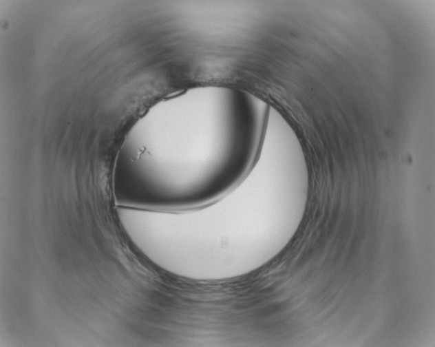X0000088740380200705311058