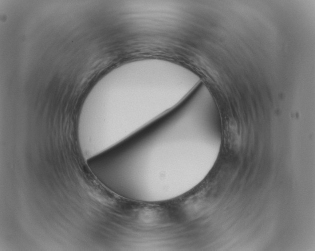 X0000088740412200705311056