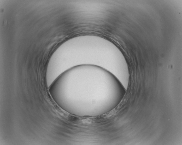 X0000088740423200705311056