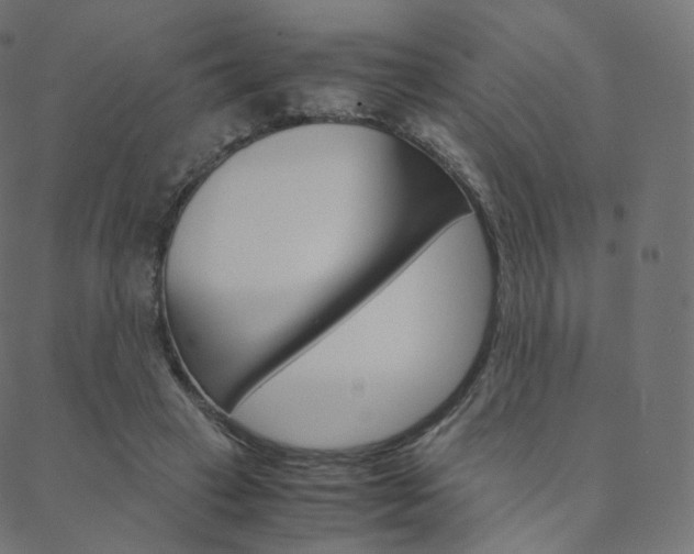 X0000088740449200705311055