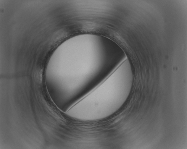 X0000088740454200705311056