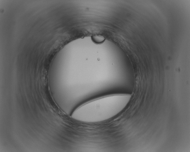 X0000088740464200705311056