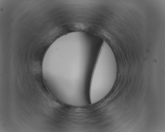 X0000088740467200705311056