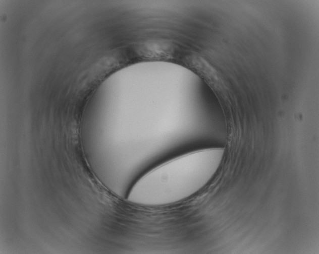 X0000088740469200705311056