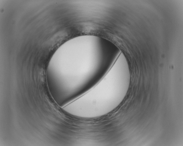 X0000088740470200705311056