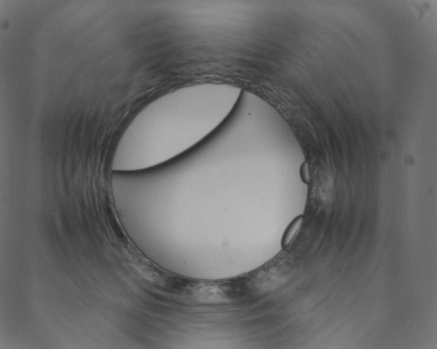 X0000088740518200705311055