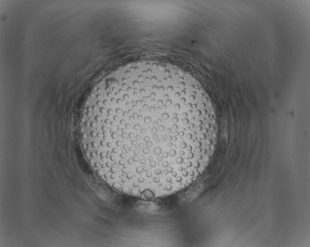 X0000088740519200705311055