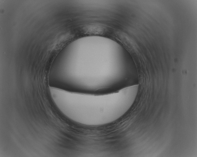X0000088740551200705311054