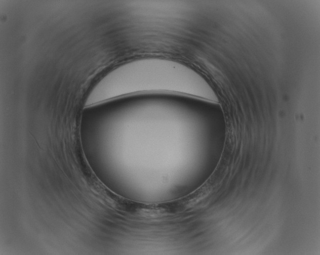 X0000088740556200705311054
