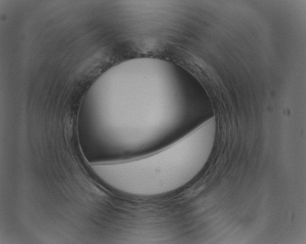 X0000088740558200705311054