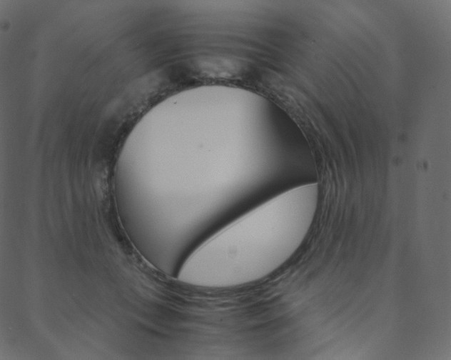X0000088740559200705311054