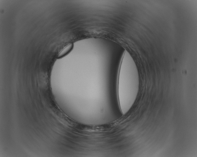 X0000088740563200705311054