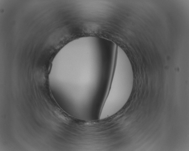X0000088740566200705311054