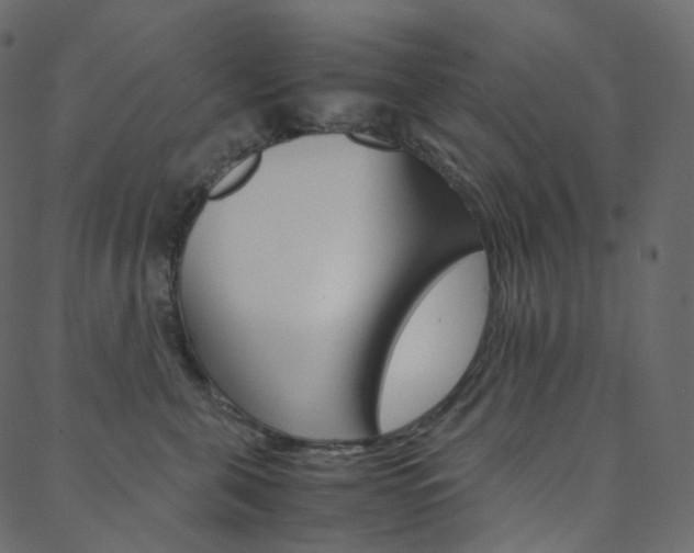 X0000088740571200705311054