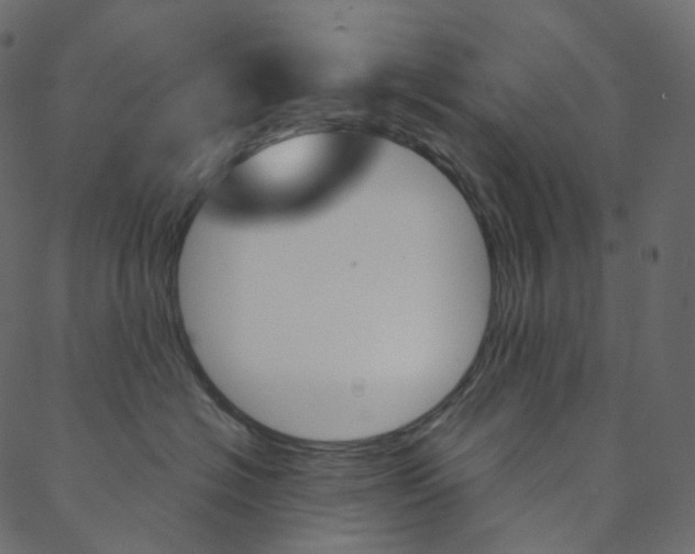 X0000088740574200705311054