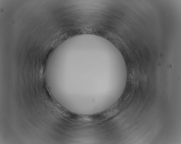 X0000088740610200705311053