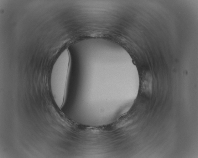 X0000088740620200705311053