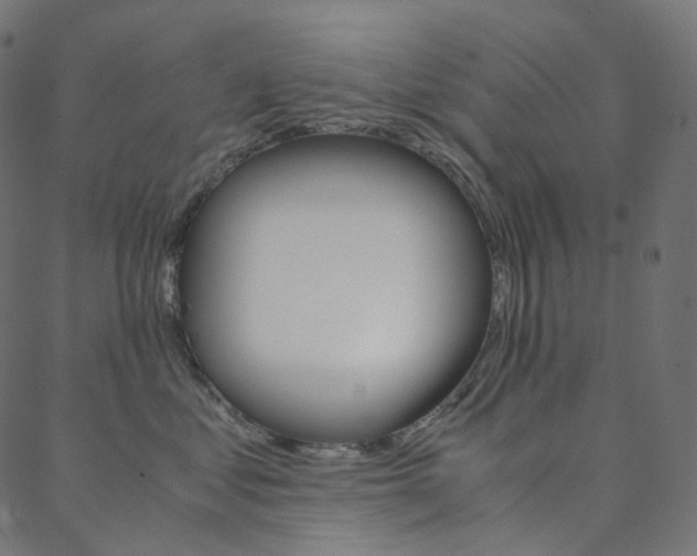 X0000088740621200705311053
