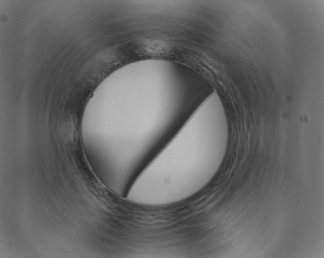 X0000088740651200705311053