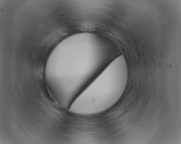 X0000088740652200705311053