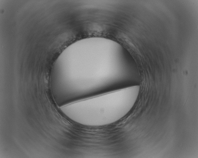 X0000088740661200705311053