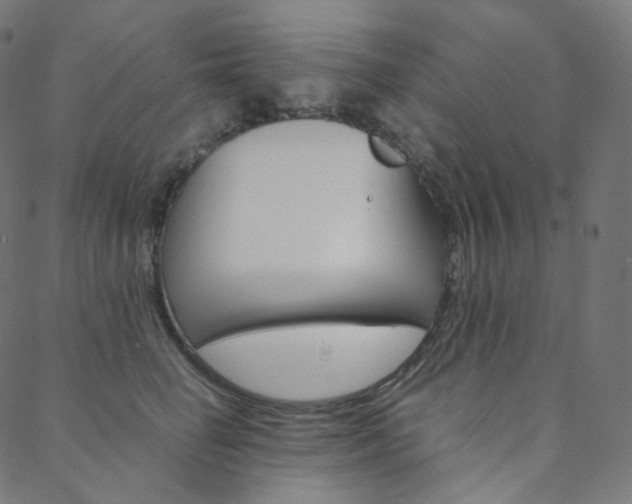 X0000088740662200705311053