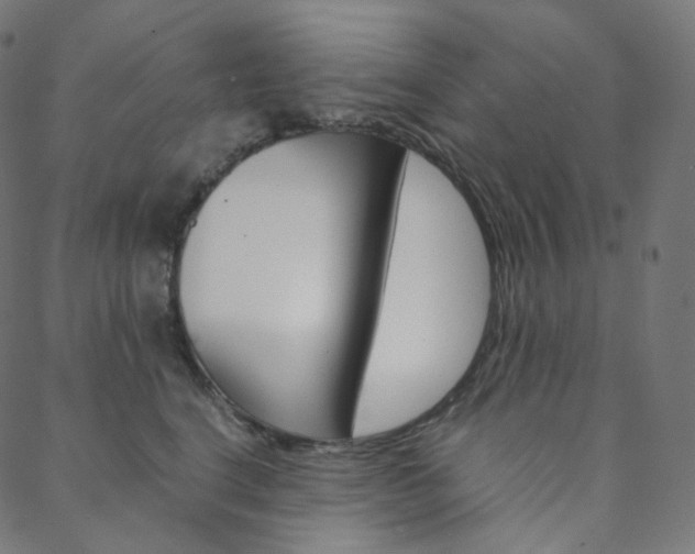 X0000088740664200705311053