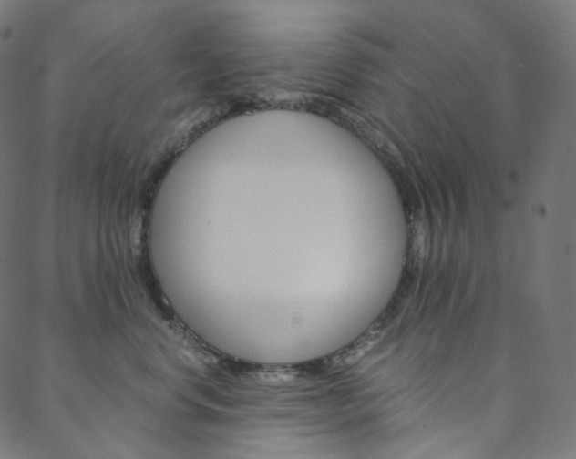 X0000088740668200705311053