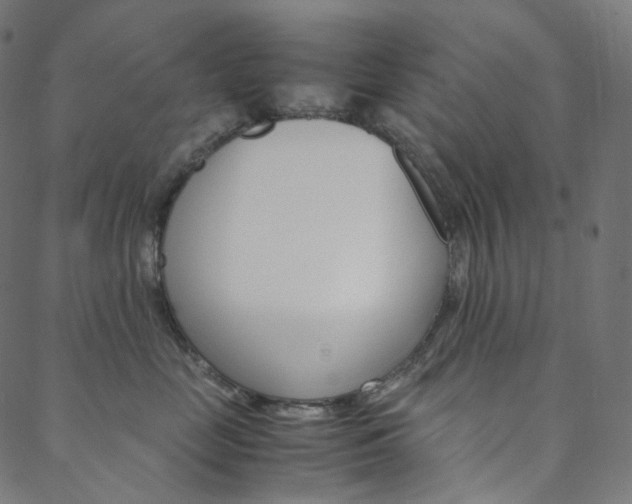 X0000088740669200705311053