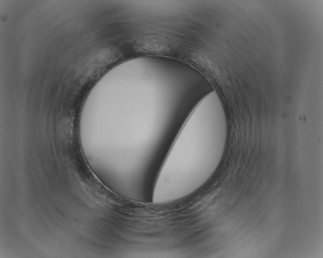X0000088740739200705311051