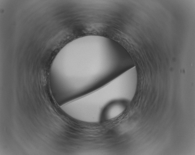 X0000088740751200705311051
