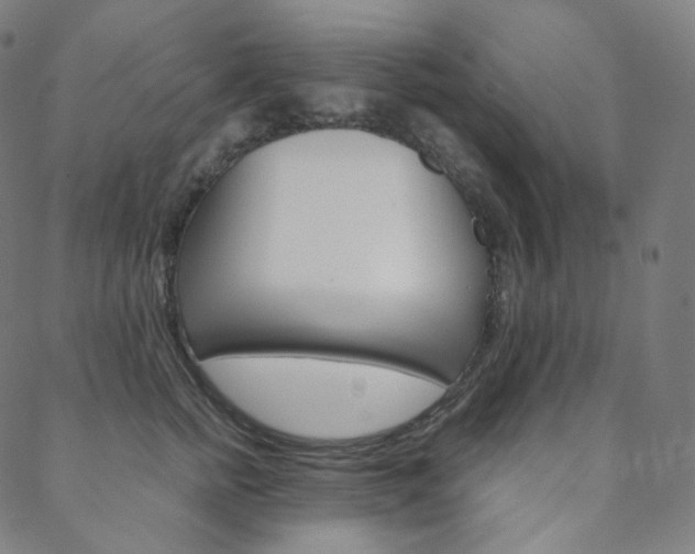 X0000088740758200705311051
