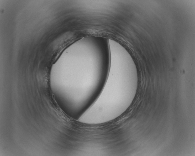 X0000088740762200705311051
